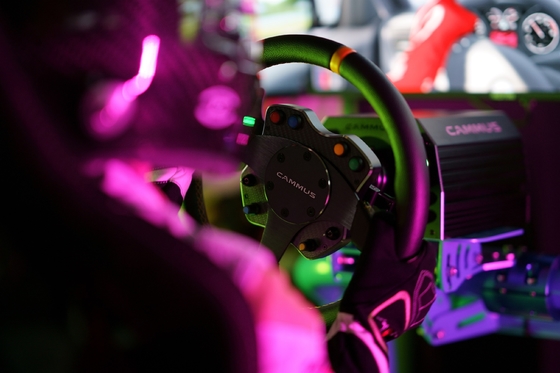 Carlinga de la impulsión del sistema de Simul del juego del pedal del simulador de las carreras de coches de Seat del juego