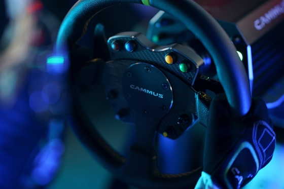 El simulador Simul del coche de competición de la impulsión del volante indica para el juego de la PC