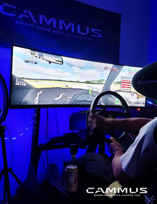 Juego del coche de competición que conduce el simulador con la rueda y los pedales Sim Stand