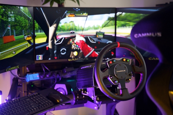 Rueda del buey de Rig Simulator Racing Game Machine de la PC con el pedal